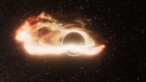 X-Ray Blaze potrebbe essere il primo sguardo a un buco nero che distrugge una nana bianca