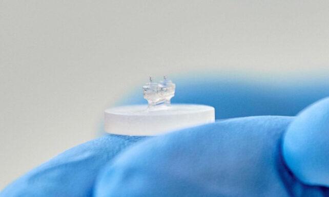 Un piccolo dispositivo trasparente è tenuto da una mano con guanto blu