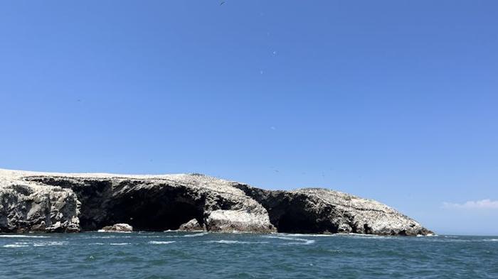 isola rocciosa coperta di escrementi di uccelli bianchi.