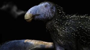 Questo strano dinosauro spinoso aveva una pelle diversa da qualsiasi cosa abbiamo mai visto