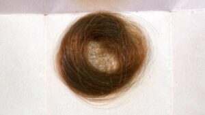 un ciuffo di capelli castani su un pezzo di carta bianca piegata