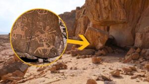 arte del Sinai