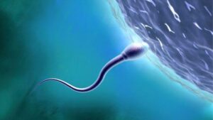 Gli scienziati dicono che è tempo di saperne di più sulla salute sessuale nello spazio
