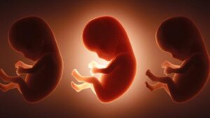Concetto di clonazione di embrioni umani