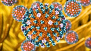 Immagine concettuale di virus influenzali (rossi) nelle vie aeree. Le particelle virali non sono alla stessa scala delle ciglia polmonari (marroni).