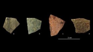 I frammenti antichi potrebbero essere la geometria conosciuta più antica del mondo