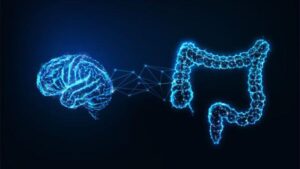 Il legame intestino-cervello potrebbe offrire un nuovo modo per combattere il declino cognitivo