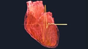 Illustrazione di un cuore su uno sfondo nero