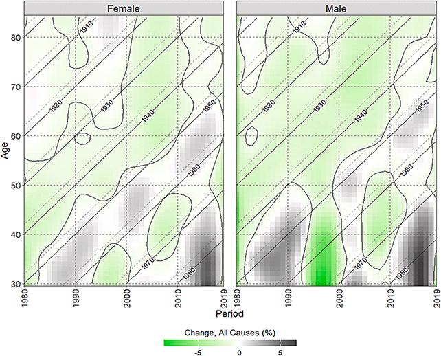 Grafico del rischio di mortalità