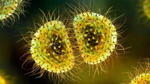 Un'epidemia di meningite espone il decennale divario di protezione nel Regno Unito