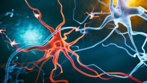 Neuroni e microglia in un'illustrazione ad alto contrasto