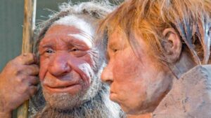 ricostruzioni di Neanderthal in un museo