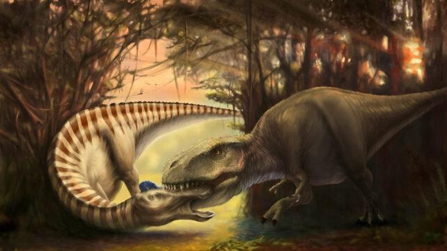 Illustrazione di un T. rex che morde un altro dinosauro sulla testa, in un ambiente giungla