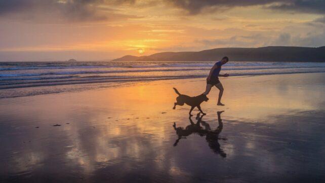persona che corre con un cane su una spiaggia al tramonto