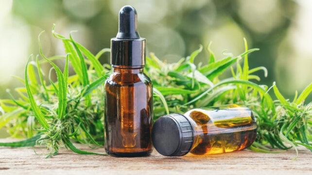 estratto di cannabis