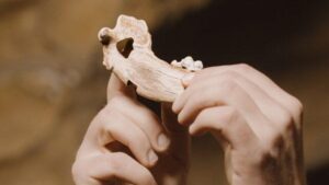 Il DNA del cane più antico mai trovato rivela quanto sia antica la nostra amicizia