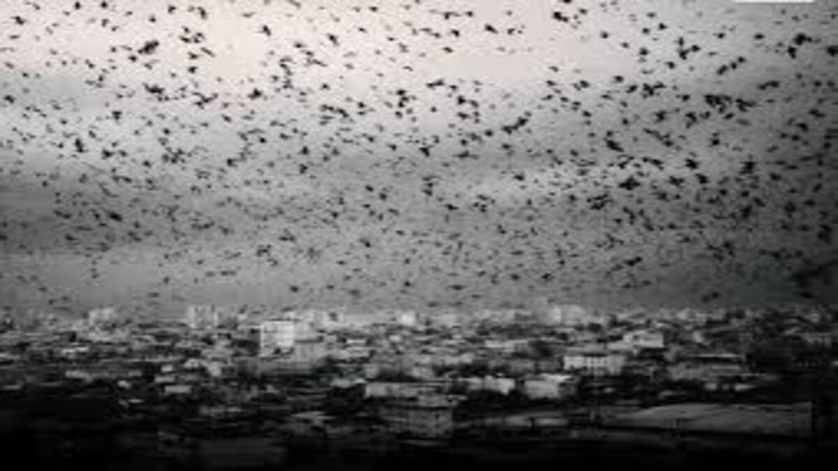 images-6.jpg