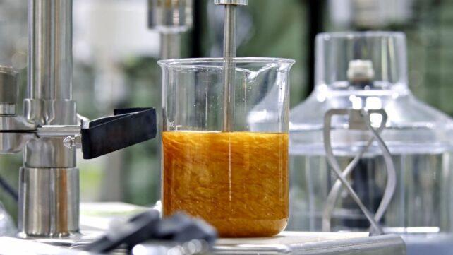 lab-gold-642x361-1.jpg