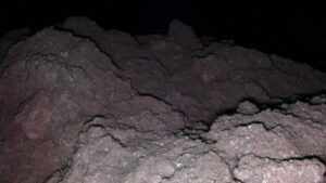 L'asteroide rivela i 5 ingredienti genetici chiave per la vita sulla Terra