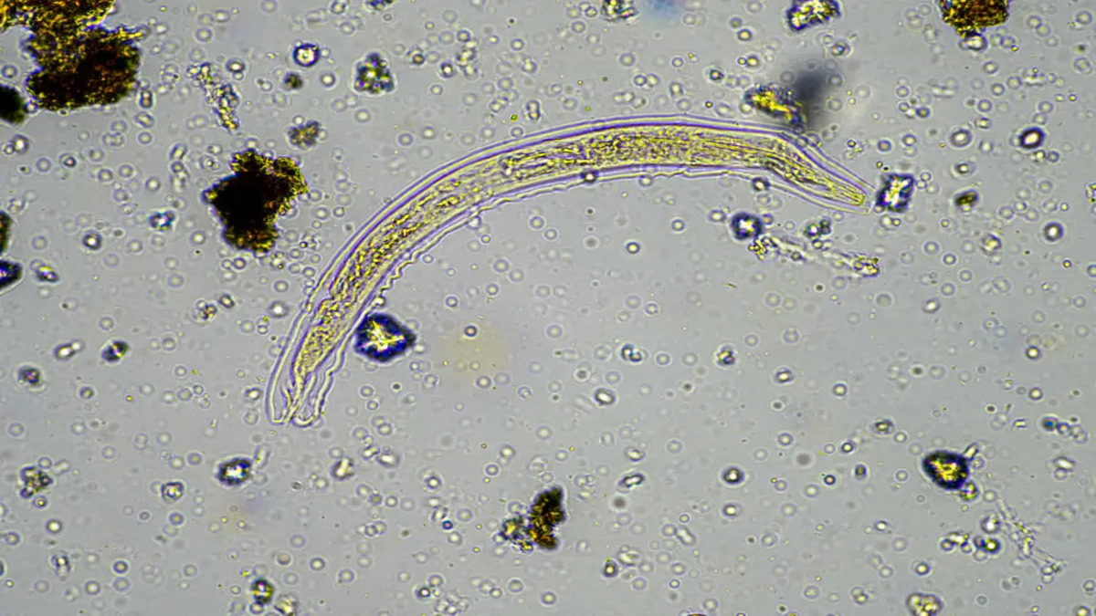 126367635-3.jpg