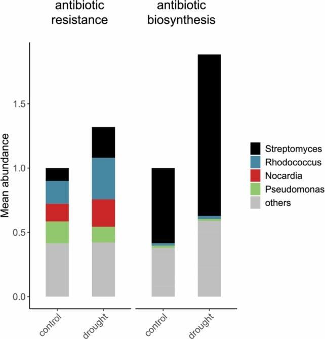 Lo studio rileva che le siccità creano le condizioni ideali per i batteri resistenti agli antibiotici