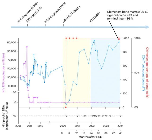 Grafico delle cellule