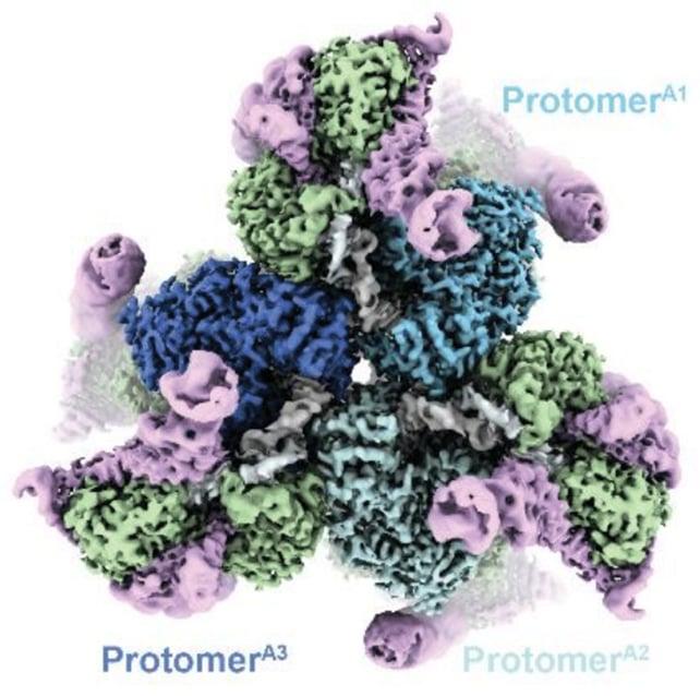 Grafica del DNA