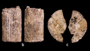 Gli scienziati potrebbero aver scoperto i dadi più antichi del mondo