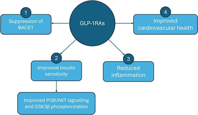 Grafico del GLP-1