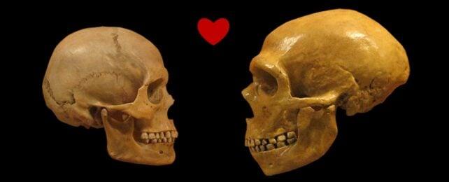 Due teschi con un cuore tra di loro