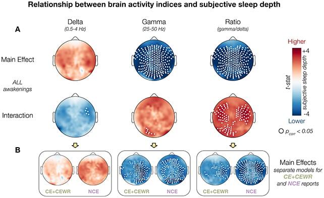 Grafico del sonno