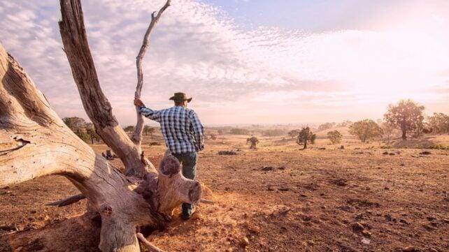drought-642x361-1.jpg