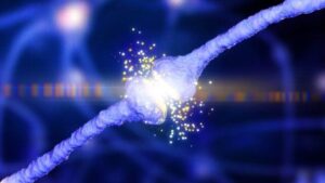 Una 'Teoria Unificante' Nuova Può Spiegare Come L'Alzheimer Emerga Nel Cervello