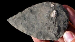 Il paesaggio antico rivela ossa di esseri umani vissuti 100.000 anni fa
