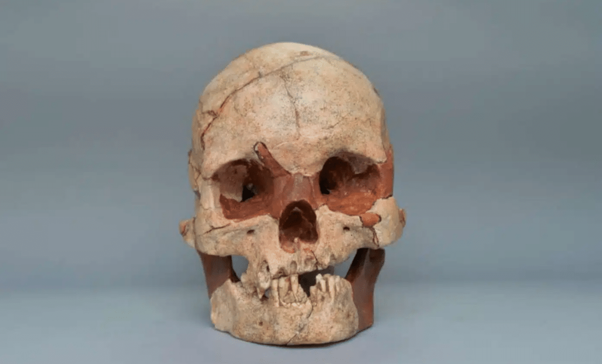 scientists-reconstruct-the-face-of-a-16000-year-old-human-found-in-china-unveiling-fascinating-features-scaled-1.png