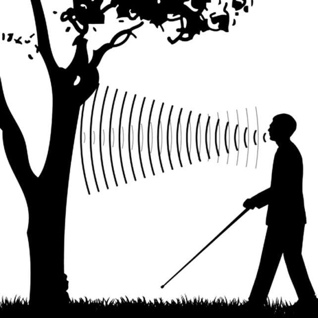 Ecolocalizzazione