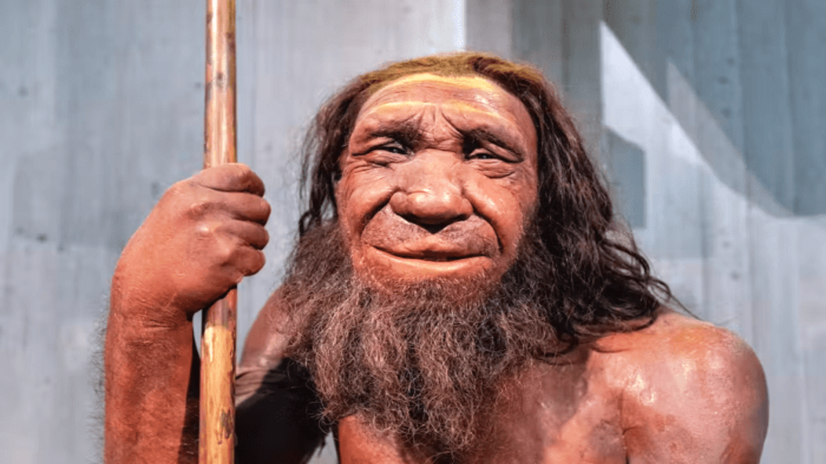 216A-23-00-NEANDERTHAL-.png