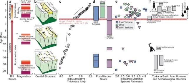 L'Africa si sta separando più velocemente di quanto pensassimo, dando vita a un nuovo oceano