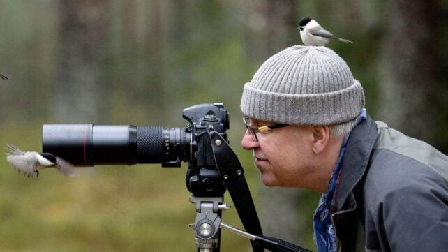 CityBirds-642x361-1.jpg