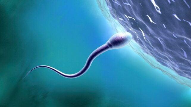 FertilityCrisis-642x361-1.jpg