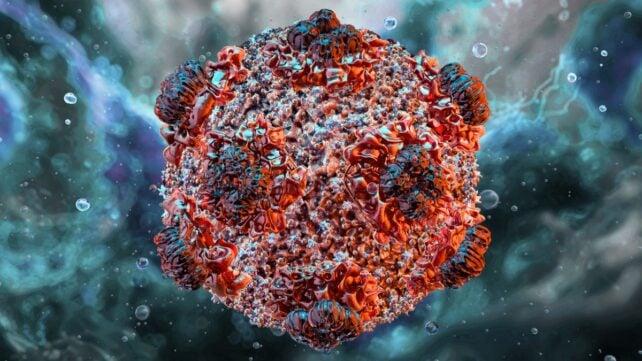 Hantavirus-3D-illustration-Science-Photo-Library-642x361-1.jpg