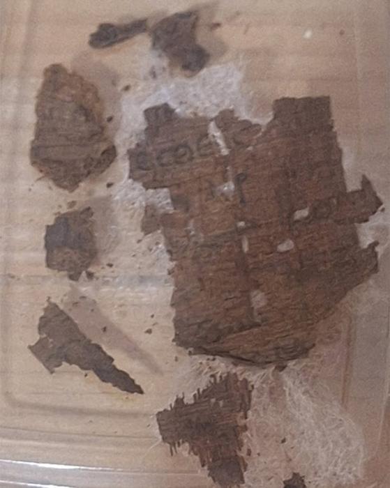Frammenti di papiro