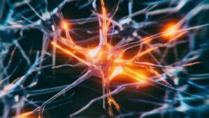 Un centro arancione luminoso è visibile in una rete di cellule neuronali blu, su uno sfondo nero