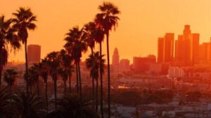 Palme davanti a un skyline cittadino