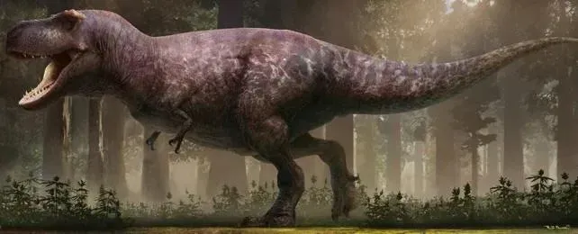 Potremmo finalmente sapere perché i dinosauri come il T. Rex avessero braccia così piccole