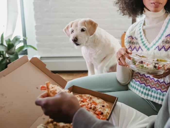 Un piccolo cane ammira con attesa una fetta di pizza che il suo proprietario sta mangiando sul divano.