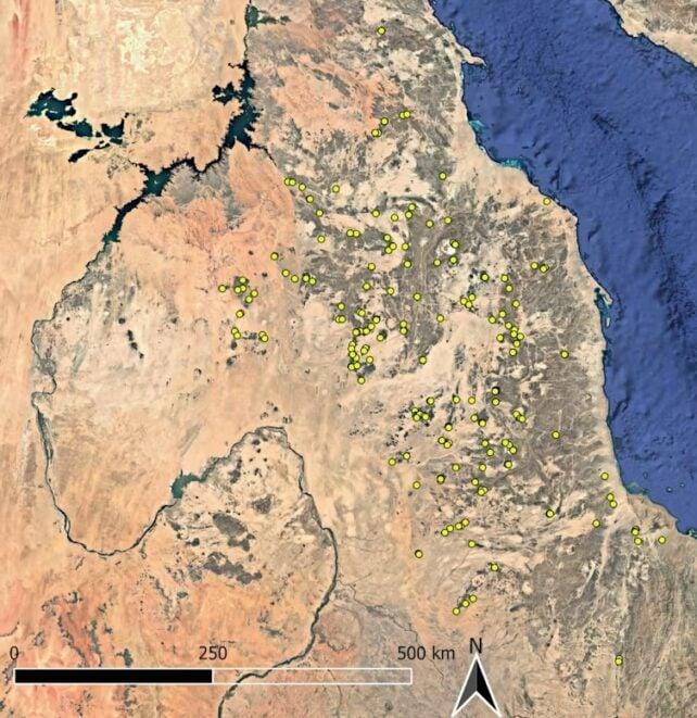 Gli archeologi scoprono centinaia di strane e antiche fosse comuni nel deserto
