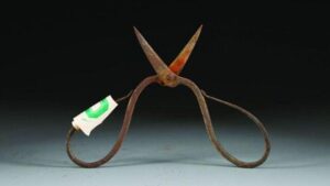 I chirurghi della dinastia Ming usavano il veleno come anestetico, rivelano gli strumenti antichi