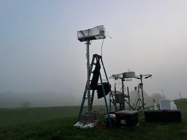 Gli scienziati scoprono vita che si nasconde e cresce nella nebbia