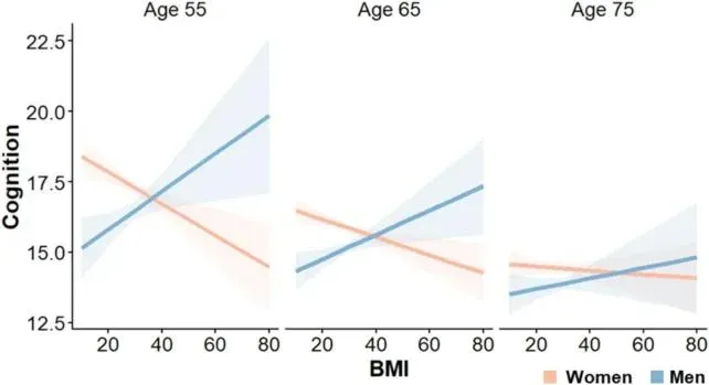 Tre grafici a linee confrontano l'IMC con i punteggi cognitivi in donne e uomini a 55, 65 e 75 anni. A 55 e 65 anni, un IMC più alto è collegato a una cognizione più bassa nelle donne ma a una cognizione più alta negli uomini. A 75 anni, la differenza di sesso è molto più debole, con ampie bande di incertezza sovrapposte.